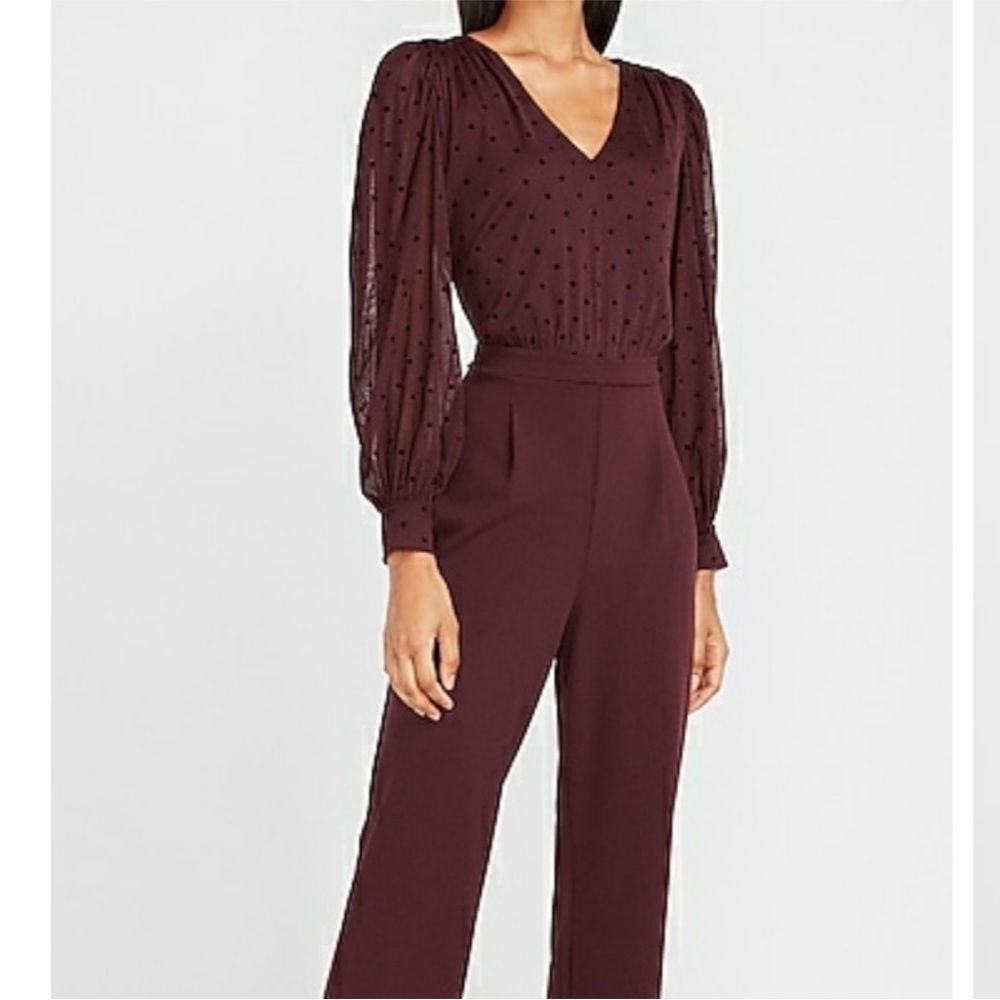 Express Deep Wine Jumpsuit with Sheer Sleeves